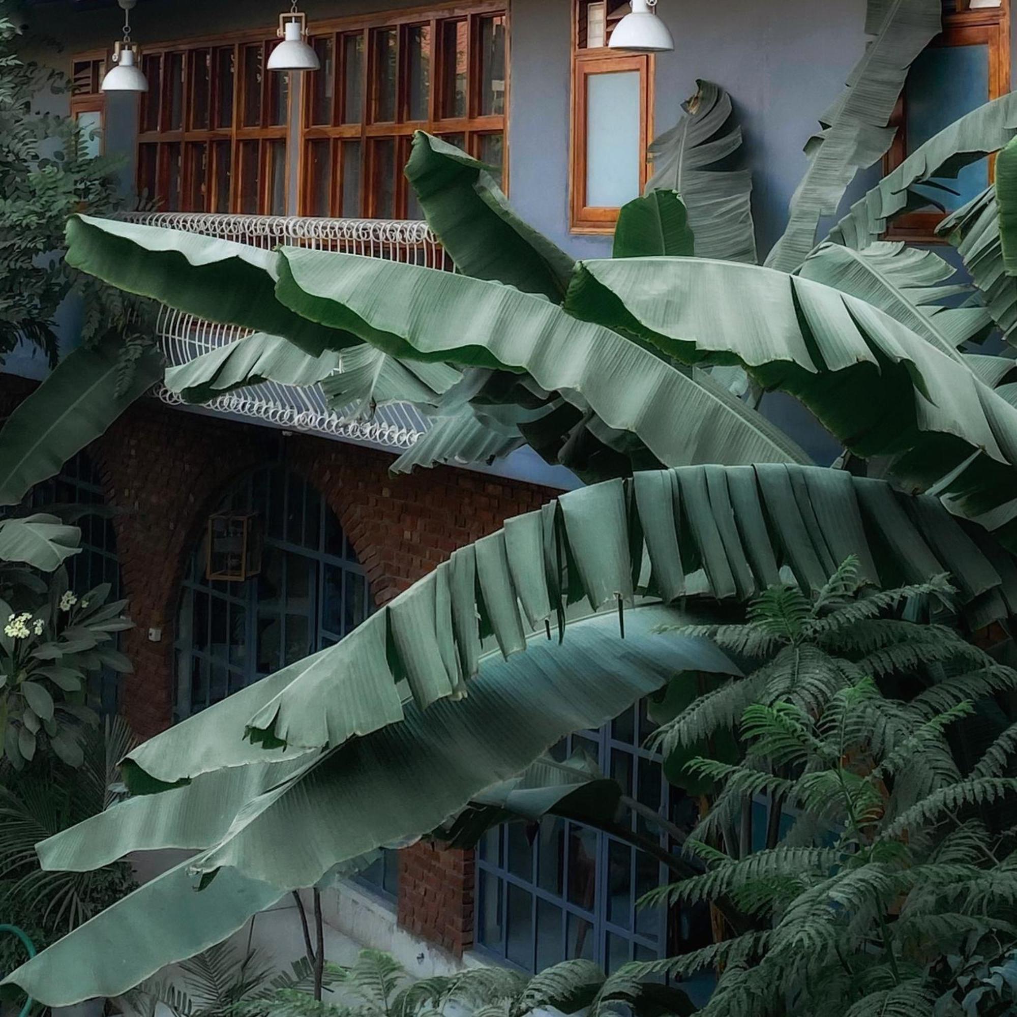 The Artist House Udaipur Hotel Buitenkant foto